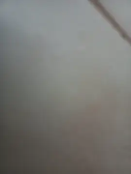 Snapshot of Jobson40 chatting on 1, 11, 2025 Jobson40 online show from 1, 11, 2025