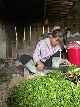 Mai bb online show from 6, 11, 2025