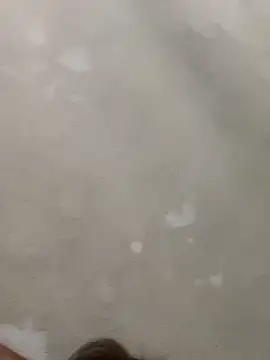 Doggy8668 online show from 3, 3, 2026