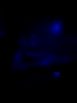 johnboones10 online show from 16, 11, 2025