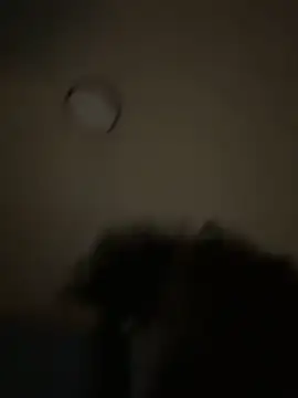 bunbun420247 online show from 5, 12, 2025