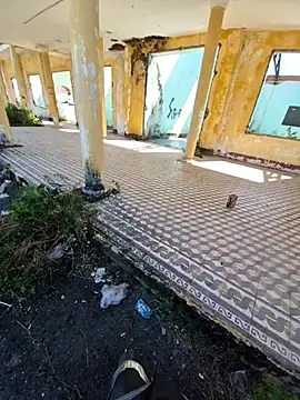 winter0cold  online show from 21, 2, 2026