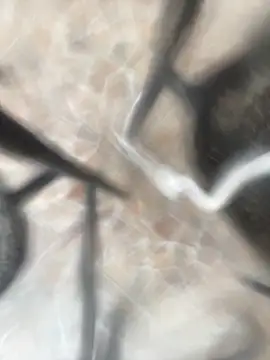 Adele Pinkk online show from 21, 10, 2025