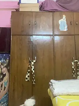 Kajal-Shemale69 online show from 6, 2, 2026