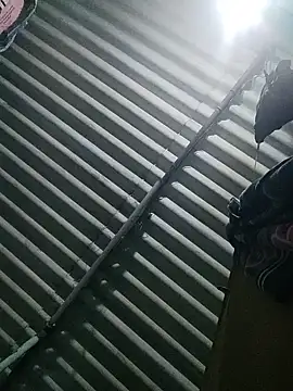 Tamilgud23 online show from 16, 11, 2025