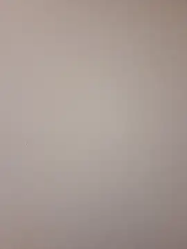 Mr nightfall online show from 13, 11, 2025