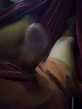 Holanda23cm online show from 13, 4, 2026