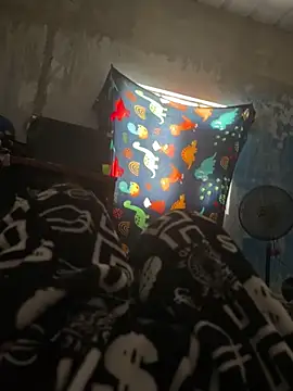 FromVnz online show from 15, 11, 2025