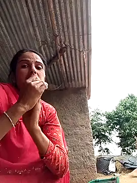 Jalebi bay online show from 4, 11, 2025