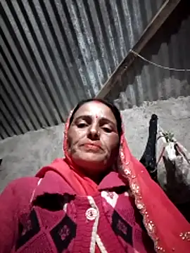 Jalebi bay online show from 17, 11, 2025