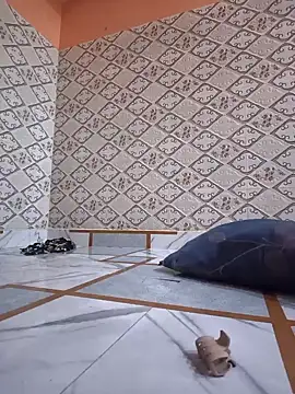 Aidakhan1212 online show from 10, 3, 2026