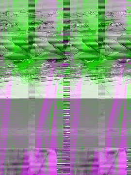 couple2612 online show from 7, 10, 2025