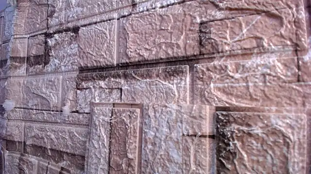 Bicky 24 online show from 2, 3, 2026