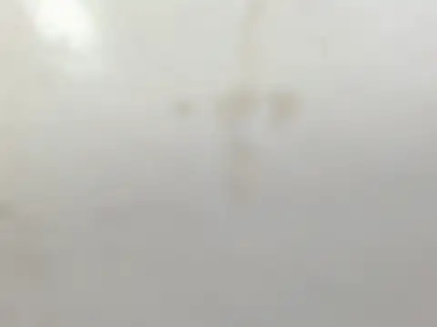 Penelopee Rouse online show from 20, 10, 2025