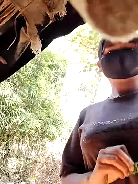 Janvi Jaitly online show from 17, 11, 2025