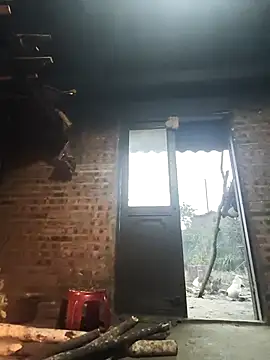 siki-00 online show from 12, 1, 2026