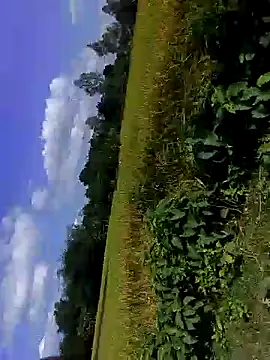 bigdaddyboy46 online show from 5, 11, 2025