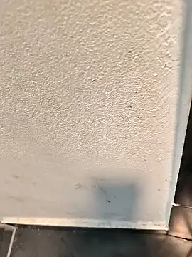 penchis90 online show from 14, 12, 2025