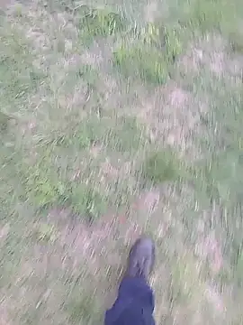 Snapshot of Pondo10 chatting on 13, 11, 2025 Pondo10 online show from 13, 11, 2025