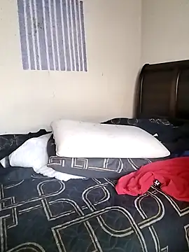 donchico0 online show from 28, 3, 2026