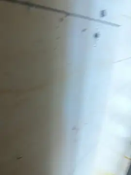 Fengbaby-555 online show from 17, 4, 2026