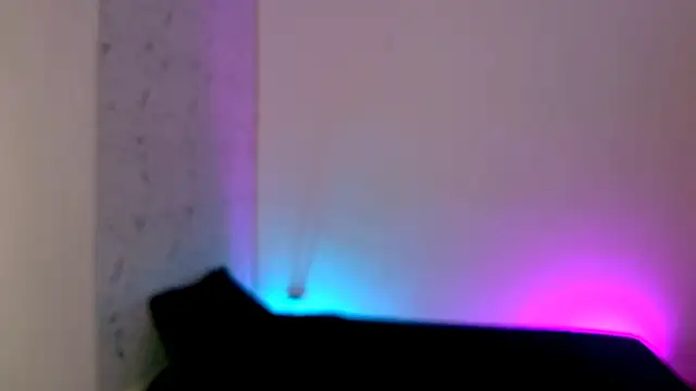 lorian vikel online show from 19, 3, 2026