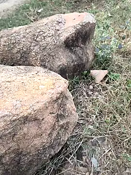 Ag punam online show from 16, 11, 2025