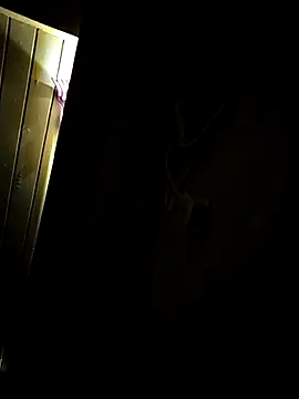 shobha lover02 online show from 18, 4, 2026