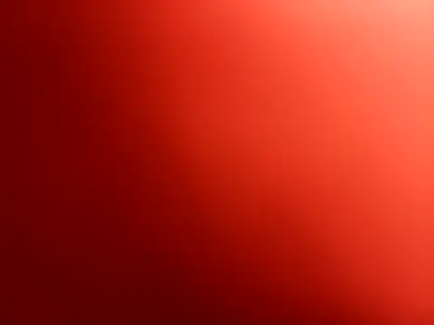 fernandowall online show from 21, 11, 2025