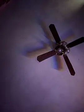 shortywidaphatty online show from 15, 4, 2026