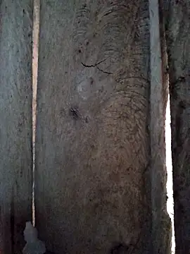 Snapshot of bonnie-00 chatting on 29, 10, 2025 bonnie-00 online show from 29, 10, 2025