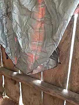 Snapshot of bonnie-00 chatting on 4, 11, 2025 bonnie-00 online show from 4, 11, 2025