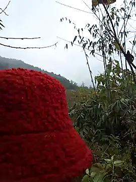 bonnie-00 online show from 7, 1, 2026