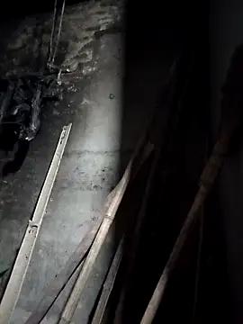 Dung x online show from 23, 3, 2026