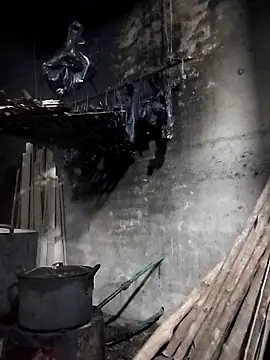 Dung x online show from 28, 3, 2026