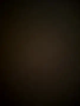 SienaWild online show from 11, 1, 2026