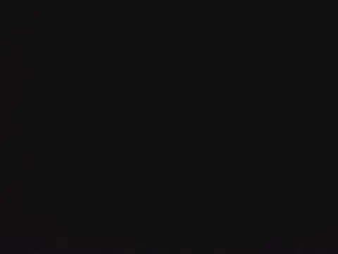 SienaWild online show from 13, 1, 2026