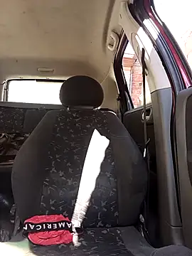 IssuedEcho online show from 28, 2, 2026