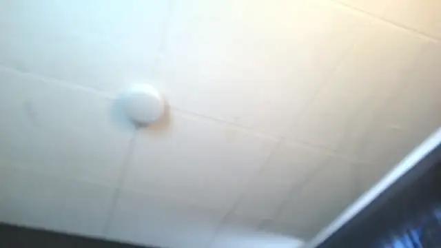 Snapshot of RichardMilleer chatting on 6, 7, 2026 RichardMilleer online show from 6, 7, 2026