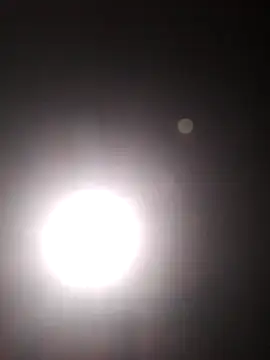 Cachorrinha2025 online show from 22, 10, 2025