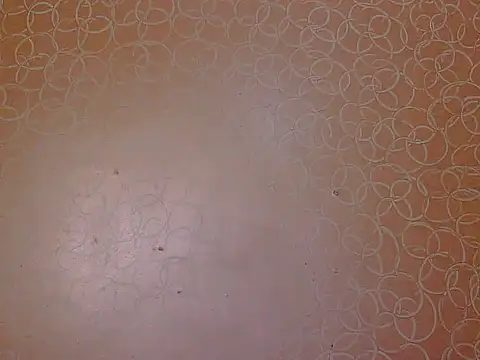 soniya babby online show from 23, 11, 2025