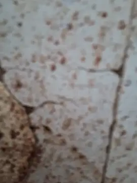 Snapshot of goodzx2 chatting on 16, 9, 2025 goodzx2 online show from 16, 9, 2025