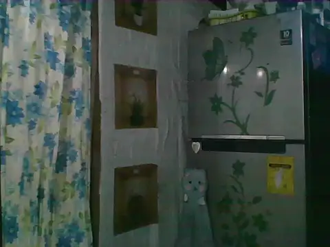 asian bhebs1 online show from 8, 10, 2025