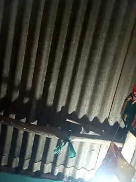 Hot kadi83 online show from 5, 11, 2025