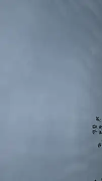 lulu5211 online show from 26, 10, 2025