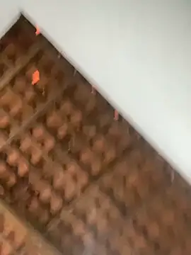 Milenvs online show from 5, 3, 2026