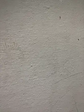 Milenvs online show from 29, 4, 2026