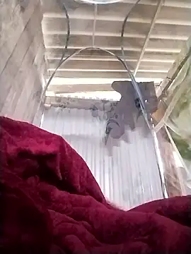 Emmyly 123 online show from 7, 1, 2026