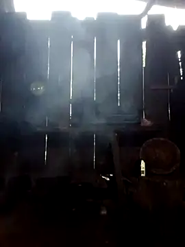 donna-bae online show from 3, 10, 2025