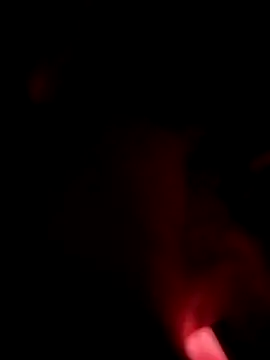 LeLoup49 online show from 1, 7, 2026